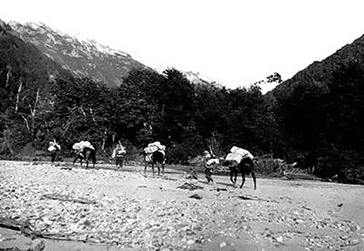 Con los "pilcheros" de Don Chano Mellado, camino al Cholila, el Bolsón, Chubut