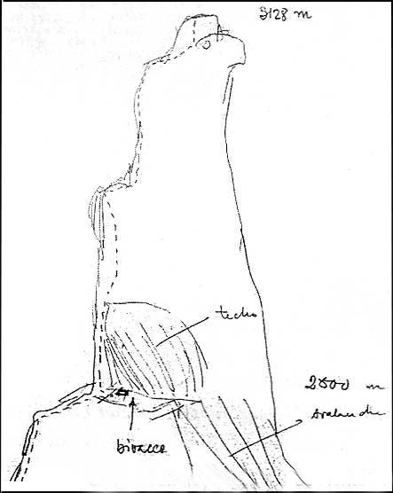 Diagrama que hizo Carlo Mauri señalando la posible ruta cumbre del Torre, según se puede ver, comparado con la ilustración de la ruta Ferrari hecha 15 años mas tarde, es casi la misma que supuso Carlo. Gentileza de Horacio Solari
