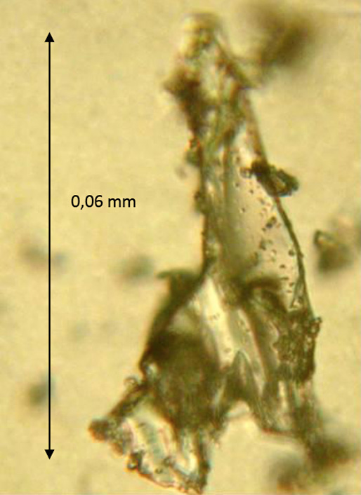 Petrográfico, visto en microscopio, de fragmentos de ceniza volcánica caída en la ciudad de Neuquén. Volcán Puyehue, Chile