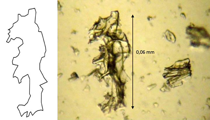 El dibujo de la izquierda muestra el contorno de la triza con sus bordes angulosos a muy angulosos. Petrográfico, visto en microscopio, de fragmentos de ceniza volcánica caída en la ciudad de Neuquén. Volcán Puyehue, Chile
