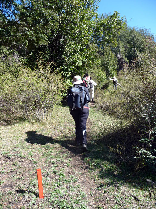Sendas de montaña. Foto: www.diarioandino.com.ar