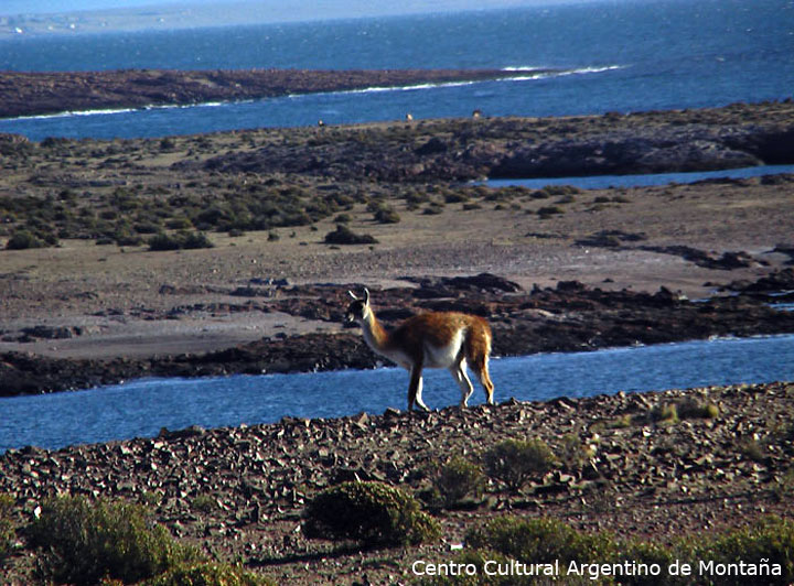 Cabo Dos Bahias, Chubut. Travesía en bicicleta a los Parques Nacionales