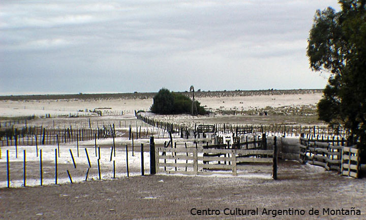 Estancia camino a Puerto Pirámides, Chubut