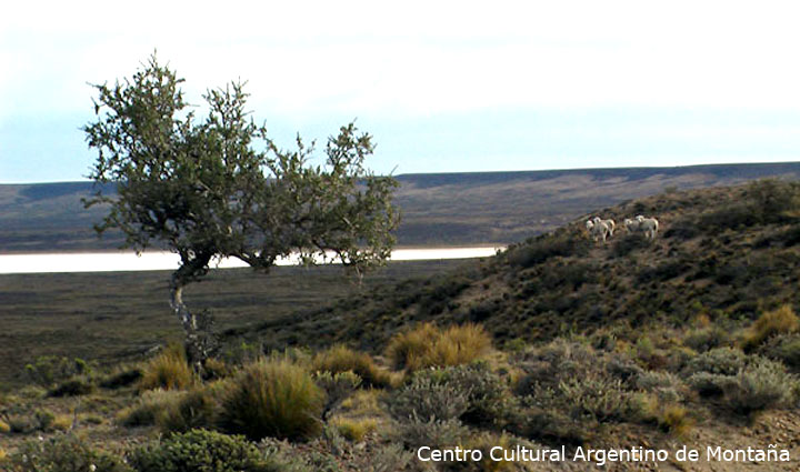 Estancia Argentina Makenke, Provincia de Santa Cruz. Travesía en bicicleta a los Parques Nacionales