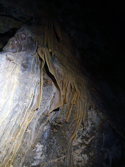 La necesidad de proteger: este velo esta roto por gente que alguna vez ingreso a la zona de exclusión cuando todavía no estaba protegida. Caverna de las Brujas. Foto: Luis Carabelli