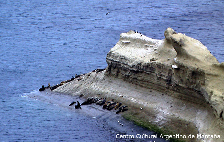 Lobos marinos en el Parque Nacional Monte León, Provincia de Santa Cruz. Travesía en bicicleta a los Parques Nacionales