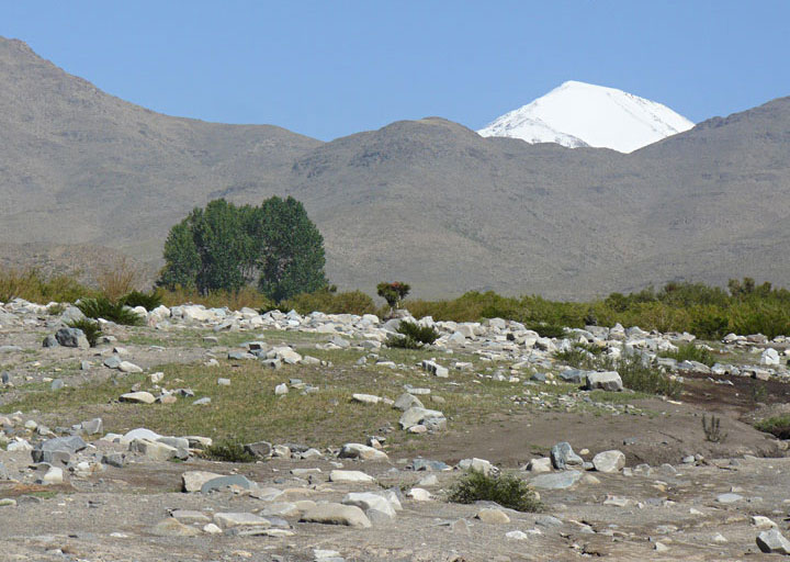 La Quebrada de Pismanta y los primeros árboles del puesto. Detrás, nevado, el Cerro Agua negra 5.484 mts. Primer ascenso al cerro Presidente Perón, San Juan