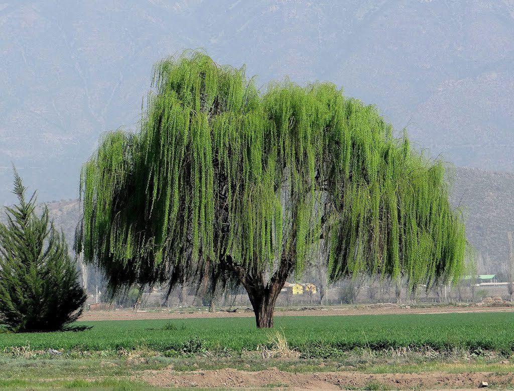 Noticias de Montaña