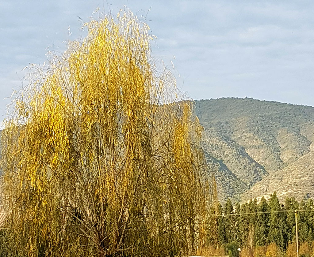 Noticias de Montaña