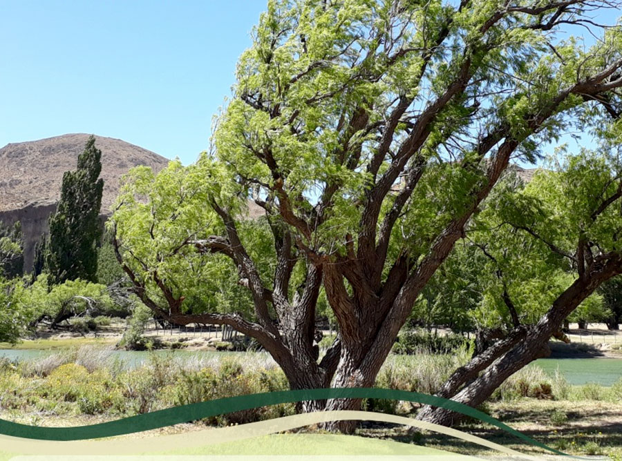 Noticias de Montaña