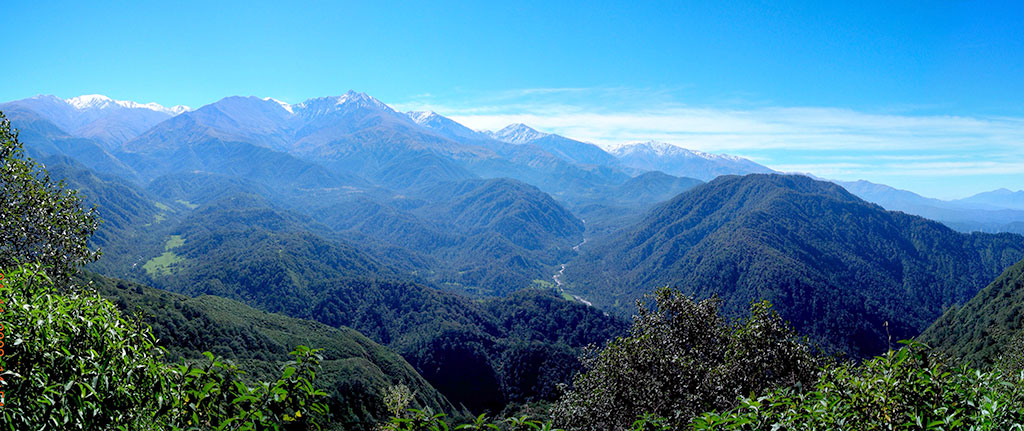Clavillo de los Cerrillos entre rios Vallecitos y Cochuna, Montañas de Tucuman. Foto: Claudio Bravo