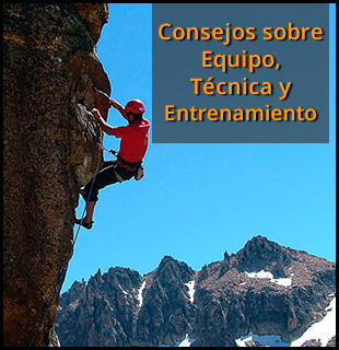 Seccion Técnica & Entrenamiento