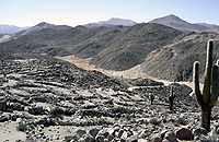 Sierra de la ventana